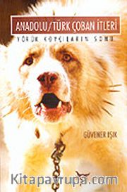 Anadolu Türk Çoban İtleri / Yörük Koyçıların Sonu