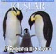 Kuşlar