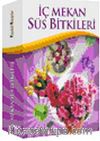 İç Mekan Süs Bitkileri