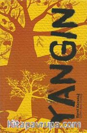 Yangın