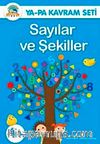 Sayılar ve Şekiller 4+ Yaş