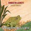 Tavas'ın Laneti