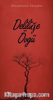 Deliliğe Övgü