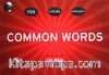 Common Words / YDS-LYS-Dil Proficiency