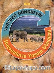 Hayvanların Yaşam Döngüsü / Yeryüzü Döngüleri