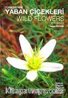 Türkiye'nin Yaban Çiçekleri & Wild Flowers Of Turkey