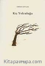Kış Yolculuğu
