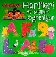 Yumurcak Harfleri ve Sayıları Öğreniyor