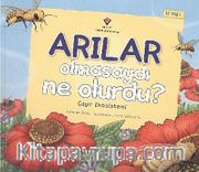 Arılar Olmasaydı Ne Olurdu? <br /> Çayır Ekosistemi