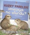Kuzey Fareleri Olmasaydı Ne Olurdu? & Tundra Ekosistemi