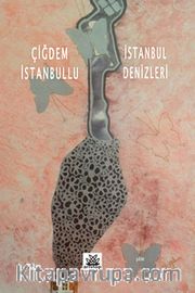İstanbul Denizleri