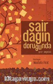 Şair Dağın Doruğunda 2013