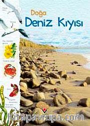 Doğa: Deniz Kıyısı