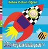 Oyun Bahçesi / Bebek Dokun Öğren