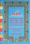 41 Yasin (Şamuha) & Türkçe Okunuşları ve Meali ile Birlikte (Orta Boy)