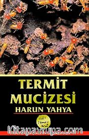 Termit Mucizesi