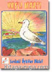Yaşlı Martı
