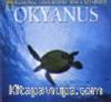 Okyanus