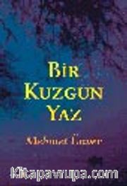 Bir Kuzgun Yaz