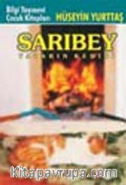 Sarıbey Yazarın Kedisi