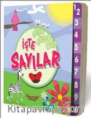 İşte Sayılar