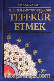 Tefekkür Etmek Allah Teala'nın Yarattıklarnda