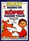 Başarılı Bir Köpek Olmanın Yolları