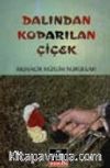 Dalından Koparılan Çiçek