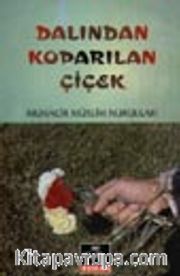 Dalından Koparılan Çiçek