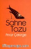Sahne Tozu