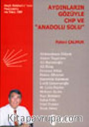 Aydınların Gözüyle CHP ve "Anadolu Solu"