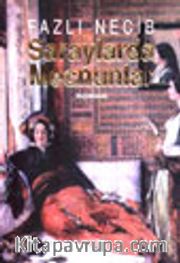 Saraylarda Mecnunlar