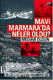 Mavi Marmara'da Neler Oldu?