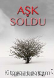 Aşk Soldu
