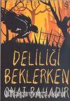 Deliliği Beklerken