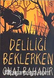 Deliliği Beklerken