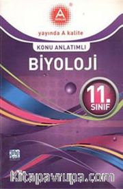 11. Sınıf Biyoloji Konu Anlatımlı