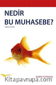 Nedir Bu Muhasebe?