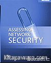 Assessing Network Security