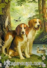 Av Köpekleri 500 Parça (33x48-Kod:3528)