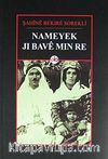 Nameyek Ji Bave Min Re