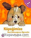 Köpeğimize Nasıl Bakacağımızı Öğrenelim
