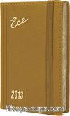 2013 Ece Ajanda - Muhtıra Serisi 1DL Cep (Ürün Kod:1) Taba