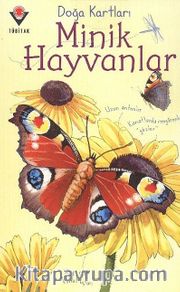 Doğa Kartları / Minik Hayvanlar