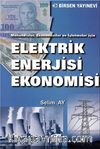 Elektrik Enerjisi Ekonomisi & Mühendisler, Ekonomistler ve İşletmeler İçin