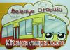 Belediye Otobüsü