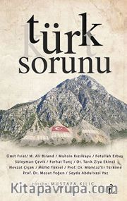 Türk Sorunu