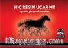 Hiç Resim Uçar Mı? & Oyunlu Göz Yanılsamaları
