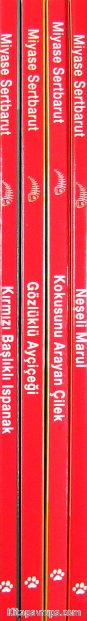 Doğa Dostu Masallar Dizisi (4 Kitap)