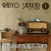 Radyo Şarkıları 1 (Plak)